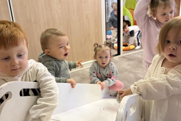 96060a84-dd56-401d-bd05-b0135c1a481c